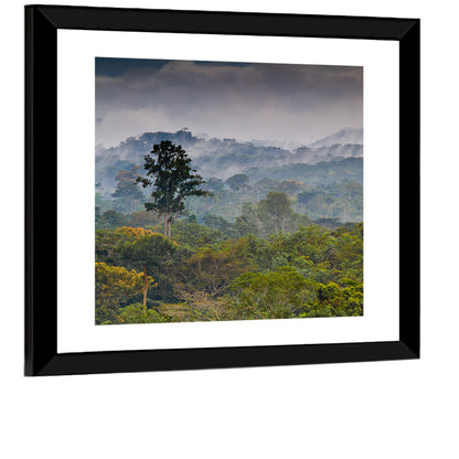 Guinea Rainforest Landscape Wall Art