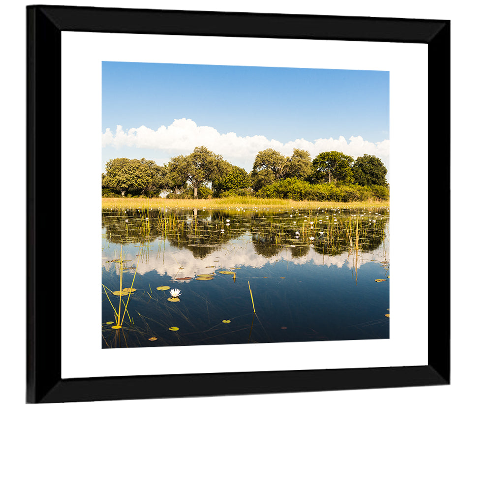Okavango Delta Waterlilies Wall Art