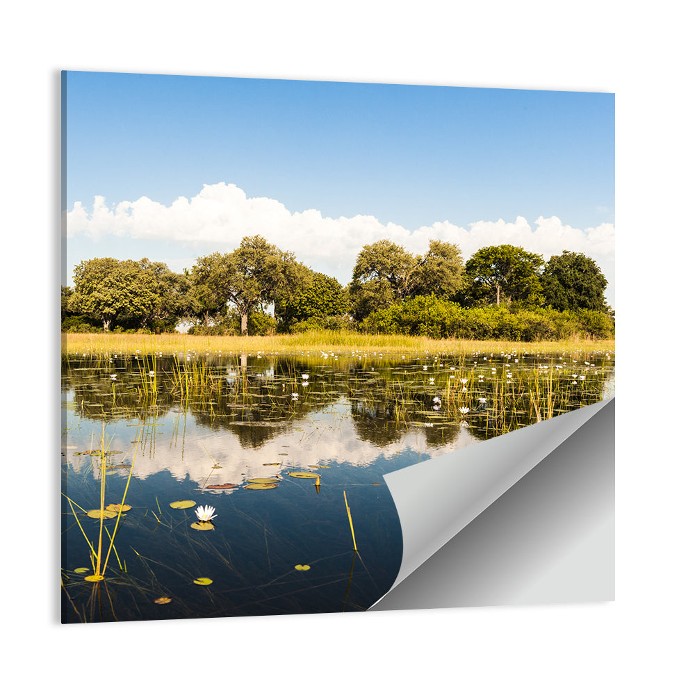 Okavango Delta Waterlilies Wall Art