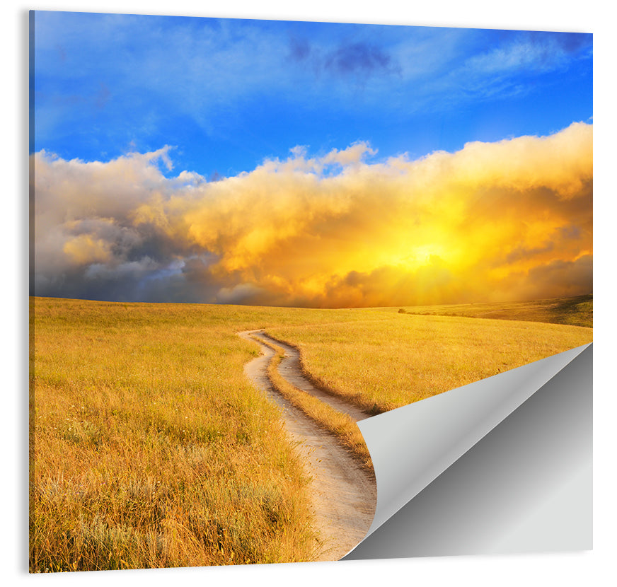 Sunlit Meadow Path with Dramatic Clouds Wall Art