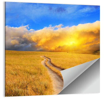 Sunlit Meadow Path with Dramatic Clouds Wall Art