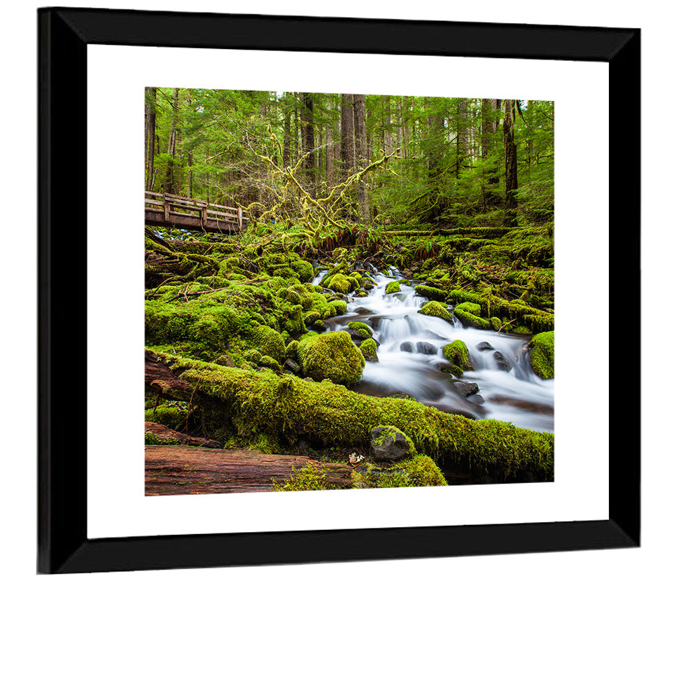 Mossy Cascade Forest Stream Wall Art
