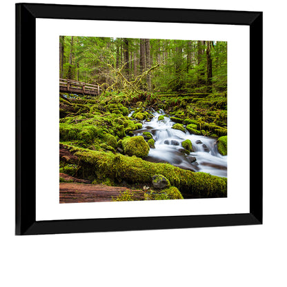 Mossy Cascade Forest Stream Wall Art
