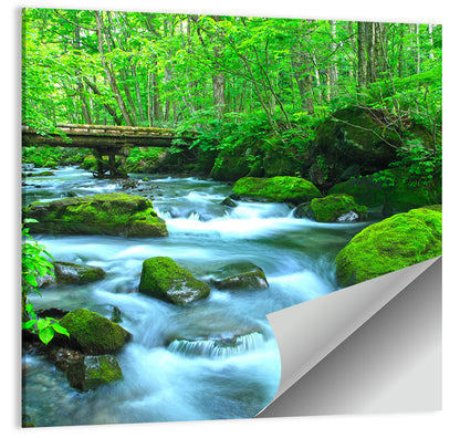Mossy Forest Stream Wall Art