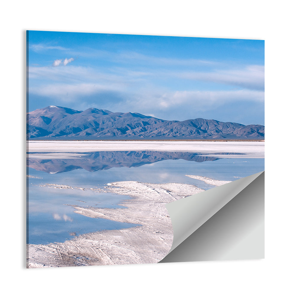 Salinas Grandes Salt Flats Wall Art