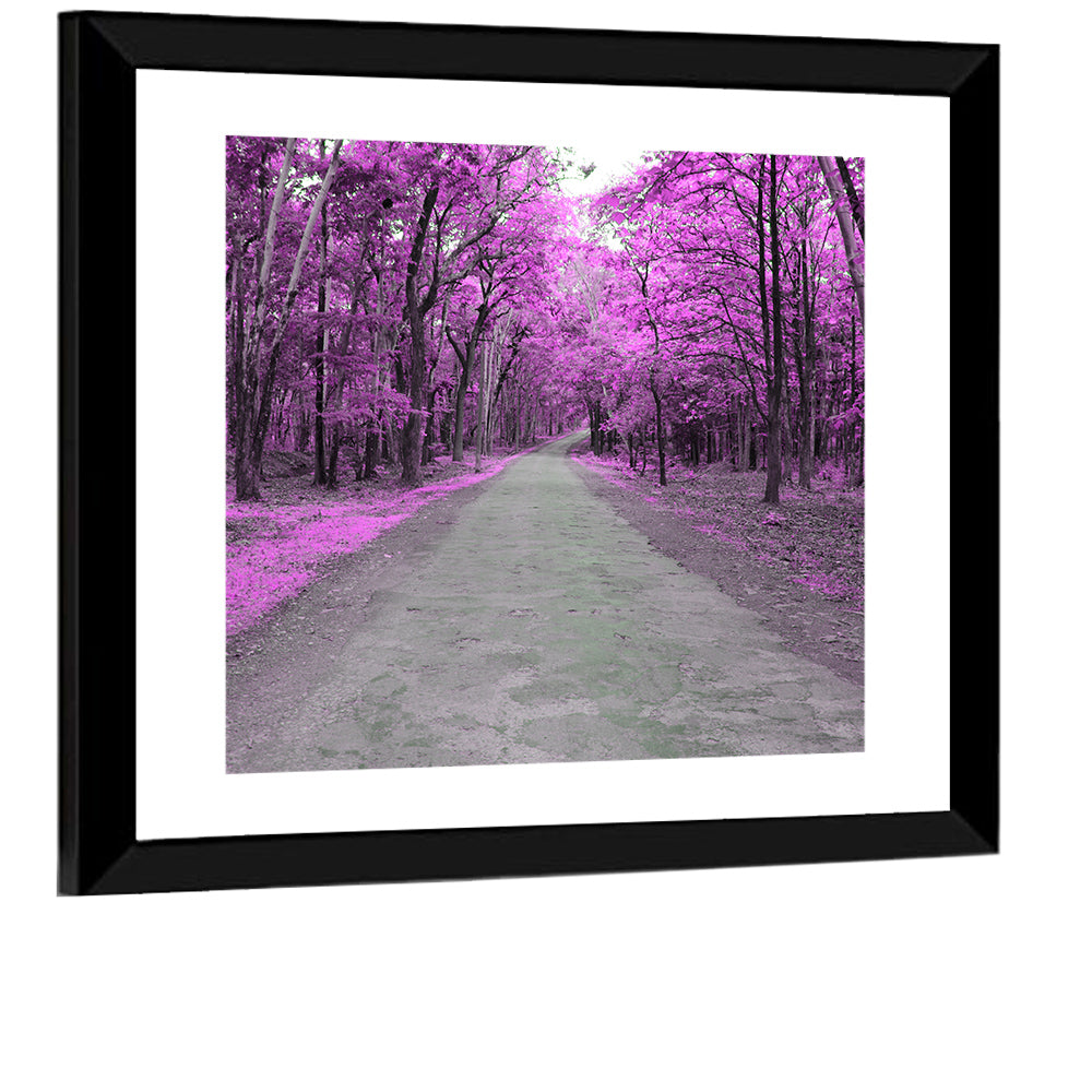 Magenta Autumn Forest Road Wall Art