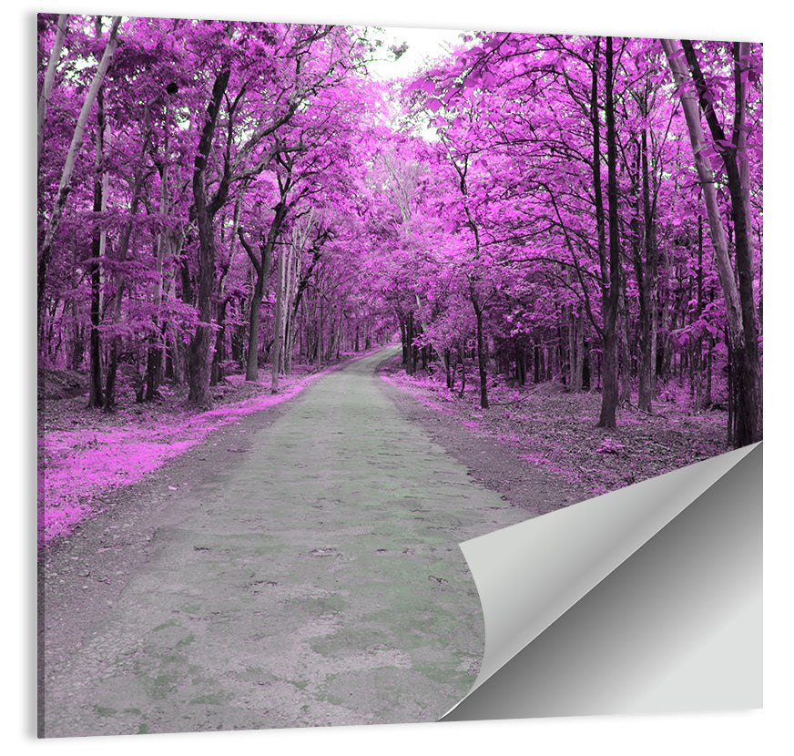 Magenta Autumn Forest Road Wall Art