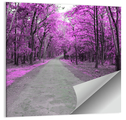 Magenta Autumn Forest Road Wall Art