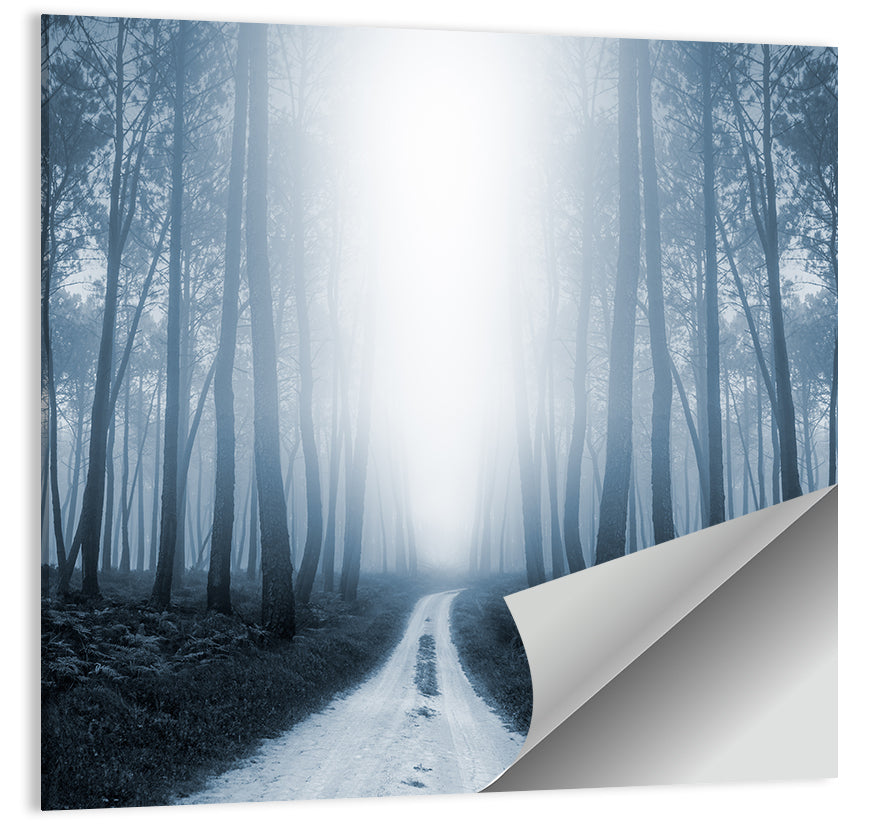 Misty Forest Road at Twilight Wall Art