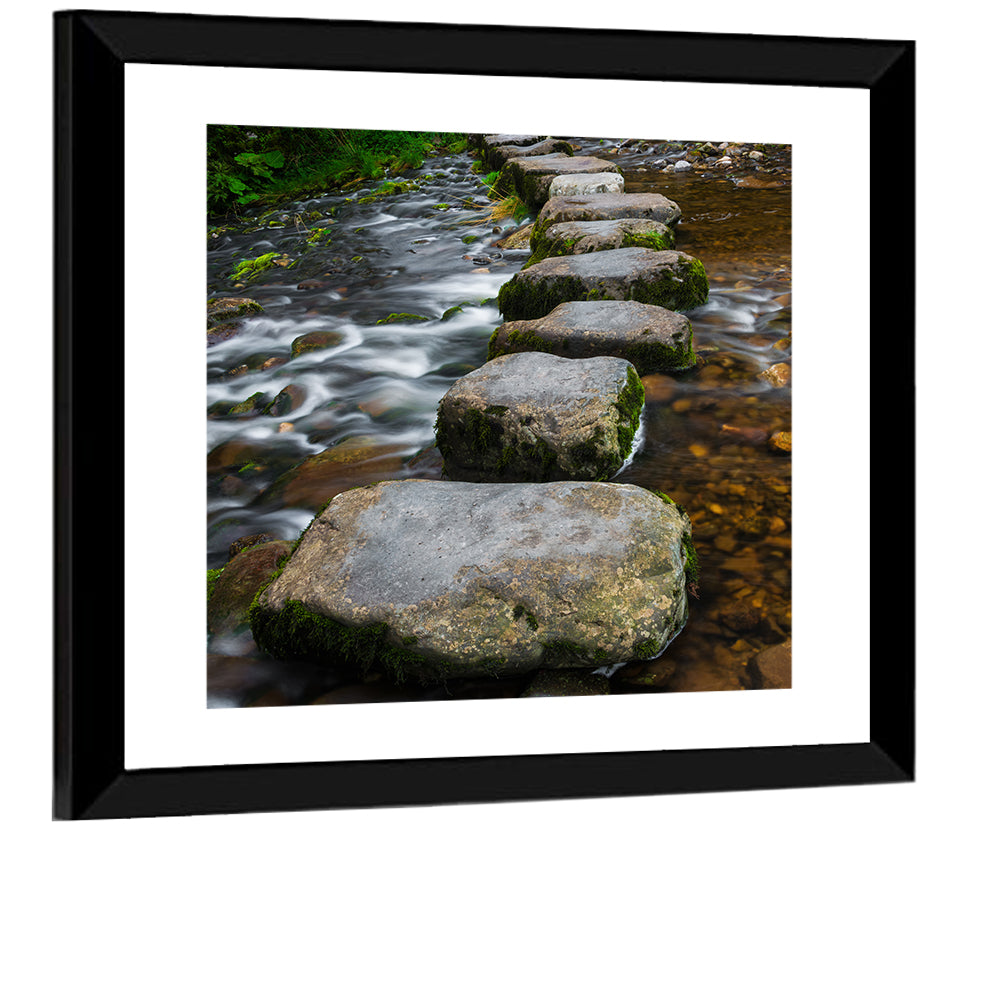 Mossy Stepping Stones Over Stream Wall Art