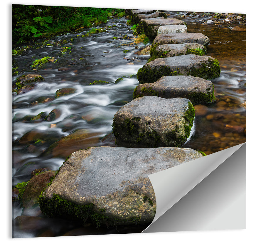 Mossy Stepping Stones Over Stream Wall Art