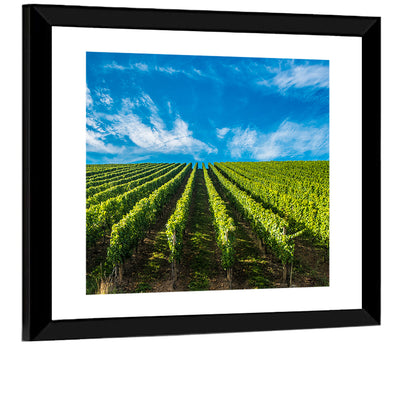Luxembourg Vineyards Wall Art