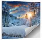 Frozen Forest Lake Wall Art