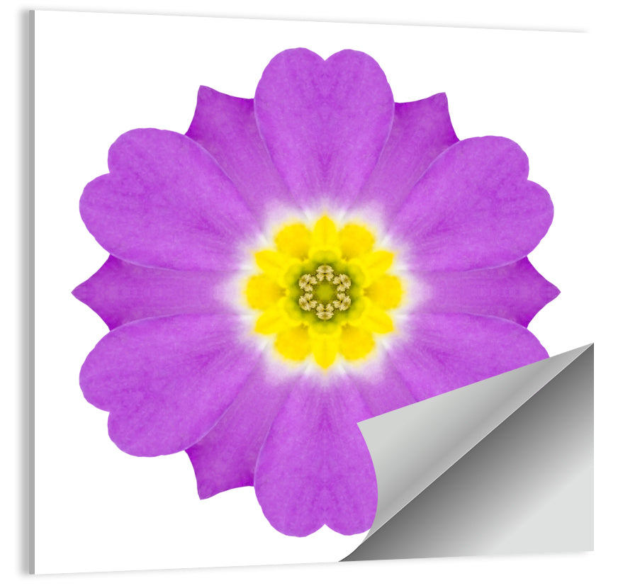 Kaleidoscopic Primrose Mandala Wall Art