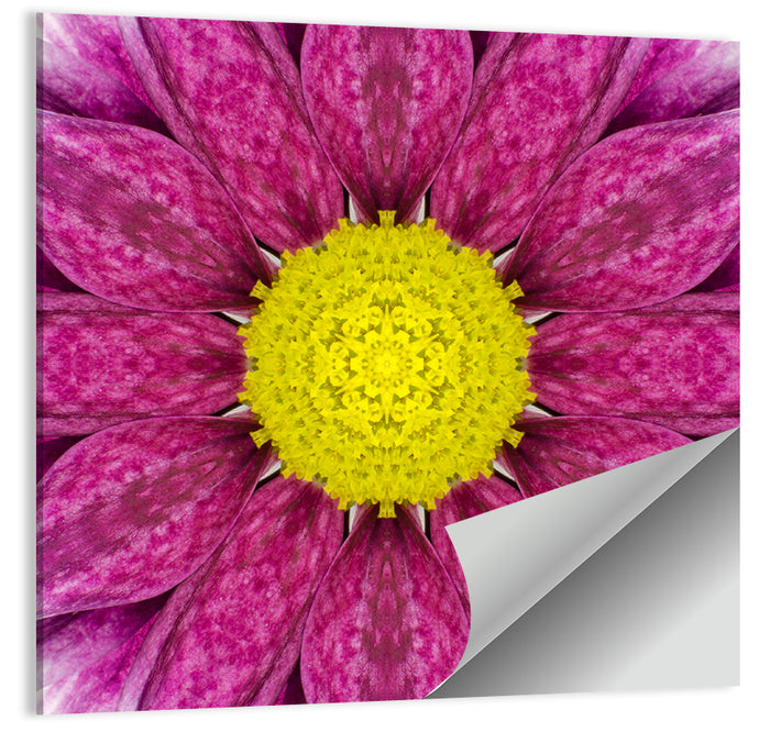 Kaleidoscopic Daisy Mandala Close Up Wall Art as a poster print