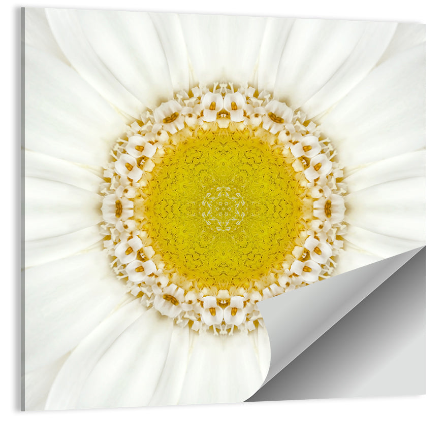 White Flower Mandala Kaleidoscope Wall Art