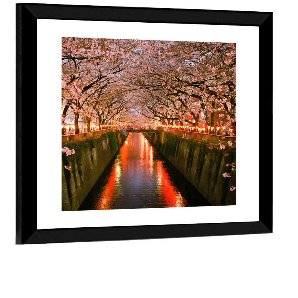 Meguro River Cherry Blossoms Wall Art