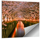Meguro River Cherry Blossoms Wall Art