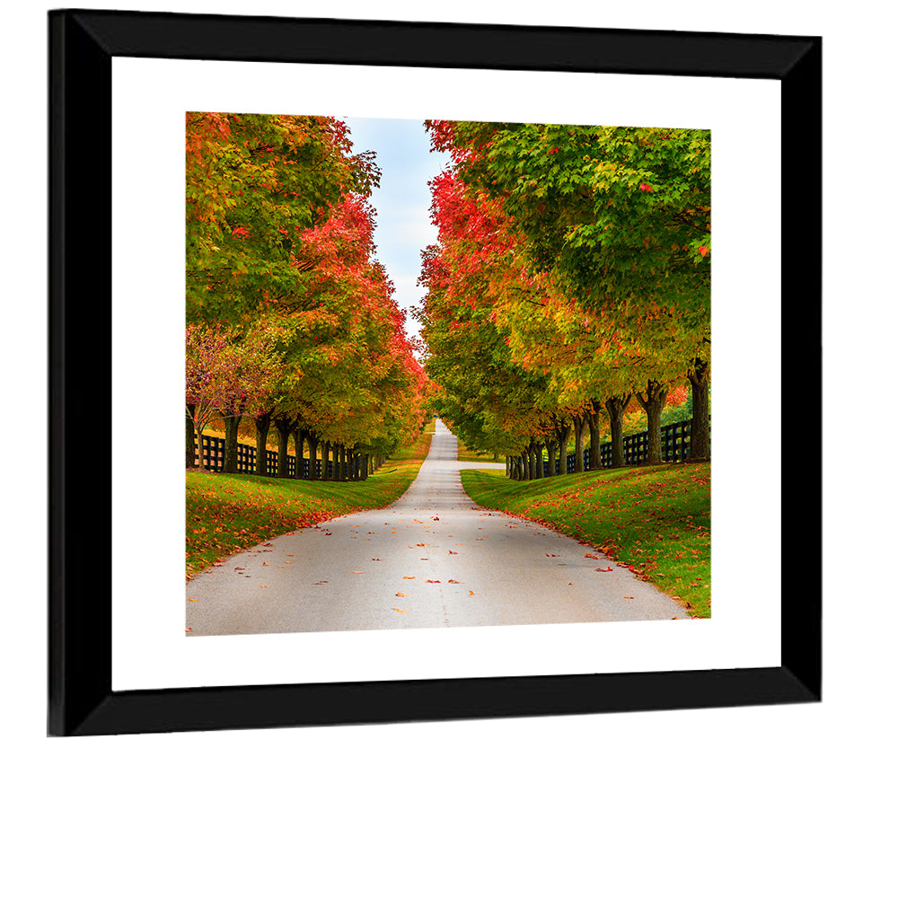 Tree-lined Farm Lane, Kentucky Wall Art