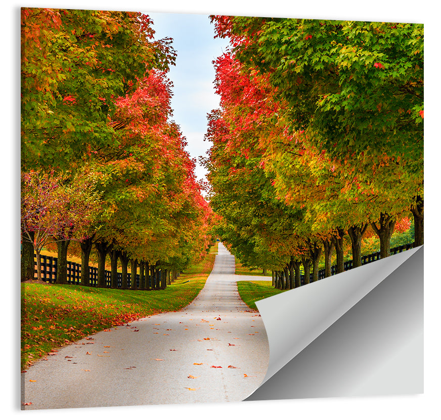 Tree-lined Farm Lane, Kentucky Wall Art