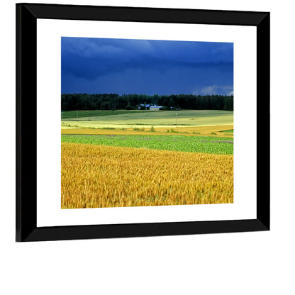 Cornfields Under Stormy Sky Wall Art