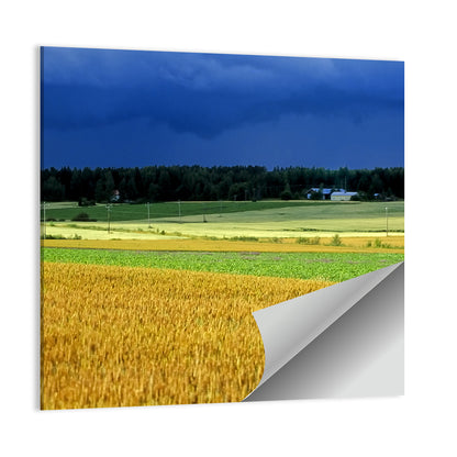 Cornfields Under Stormy Sky Wall Art