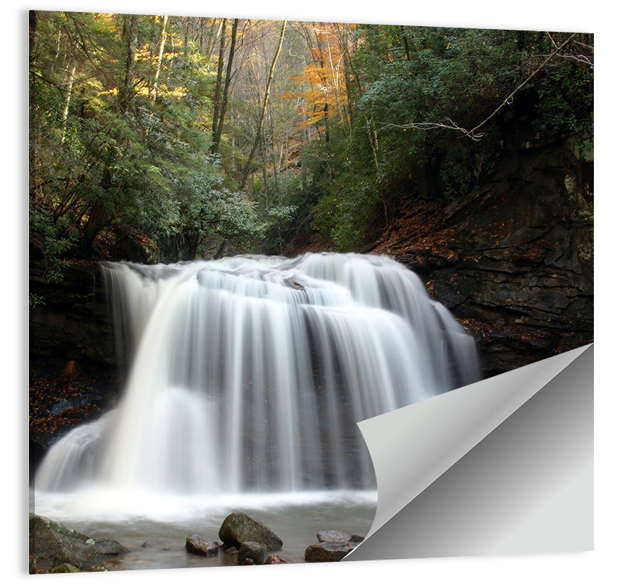 Holly River Autumn Waterfall Wall Art