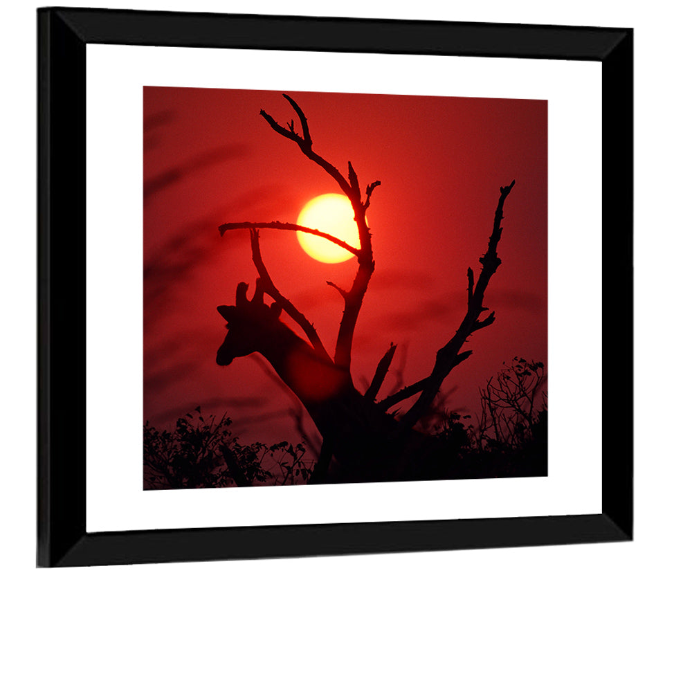 Giraffe Silhouette at Sunset Wall Art