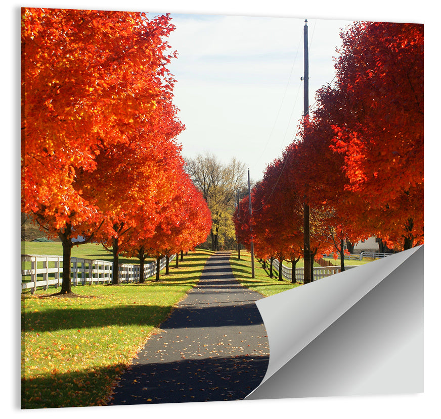 Frederick Farm Road Wall Art
