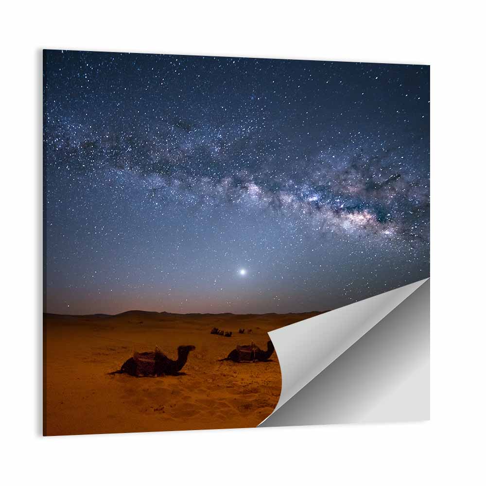 Sahara Night Sky with Camels Wall Art
