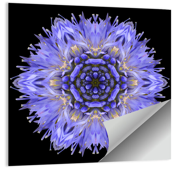 Cornflower Mandala Kaleidoscope Wall Art as a poster print
