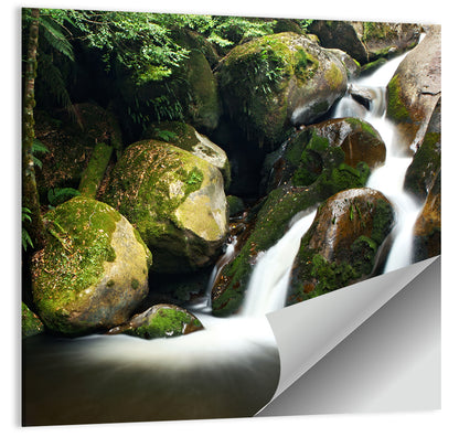 Rainforest Waterfall with Moss Covered Boulders Wall Art
