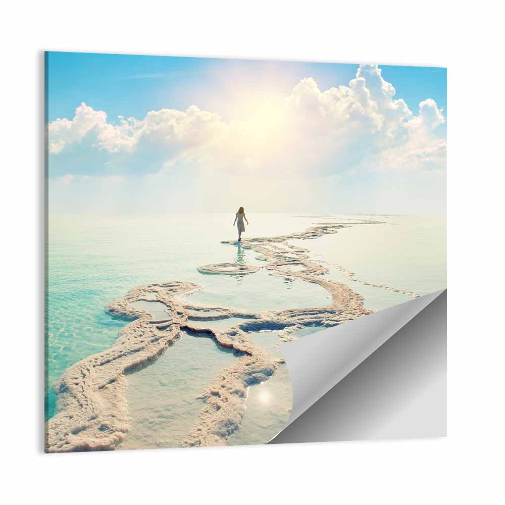 Dead Sea Salt Flats Wall Art