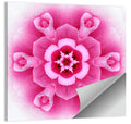Pink Carnation Kaleidoscope Mandala Wall Art