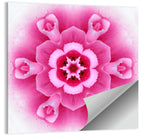 Pink Carnation Kaleidoscope Mandala Wall Art
