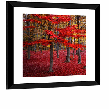 Crimson Autumn Forest Wall Art