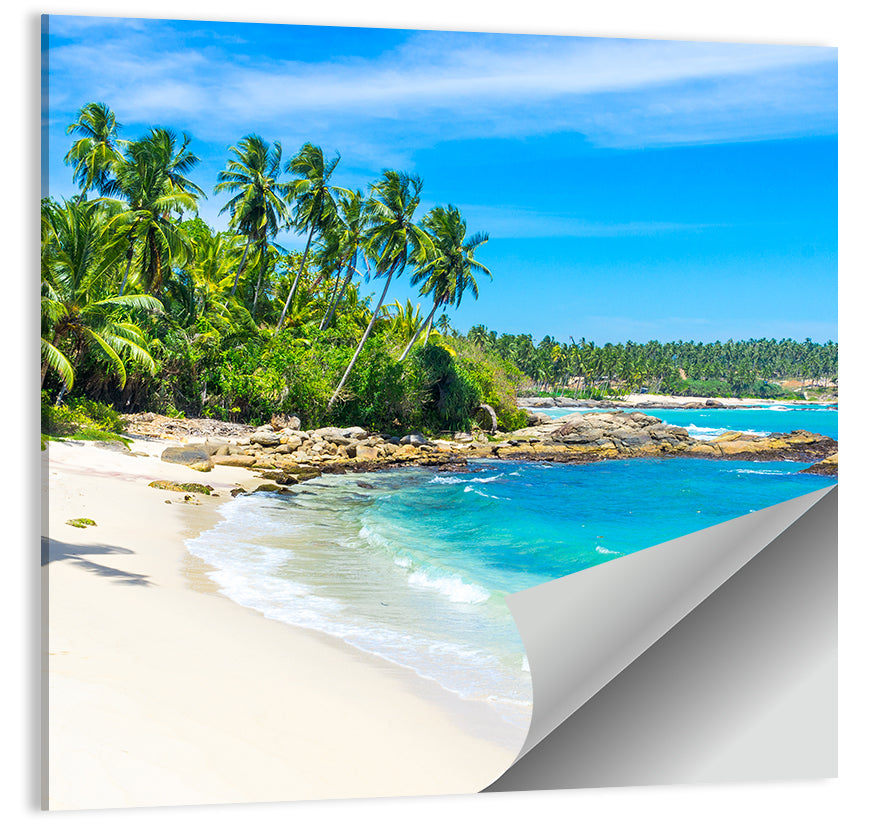 Sri Lanka Tropical Beach Wall Art