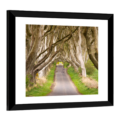 Dark Hedges, Northern Ireland Wall Art