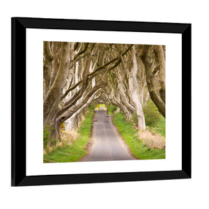 The Dark Hedges Wall Art