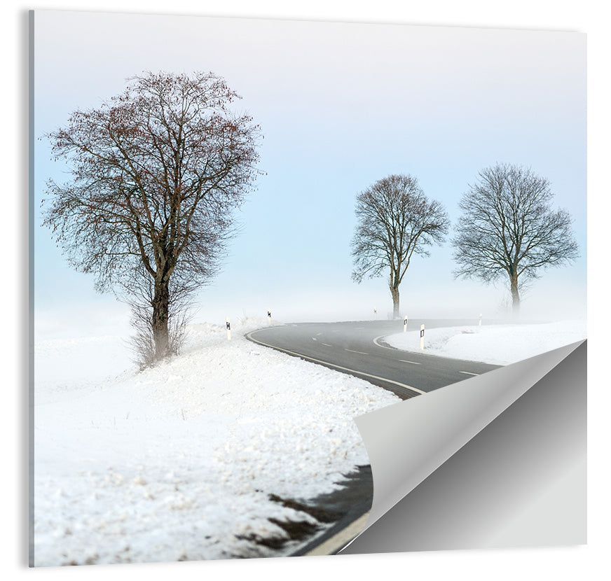 Foggy Winter Road Wall Art