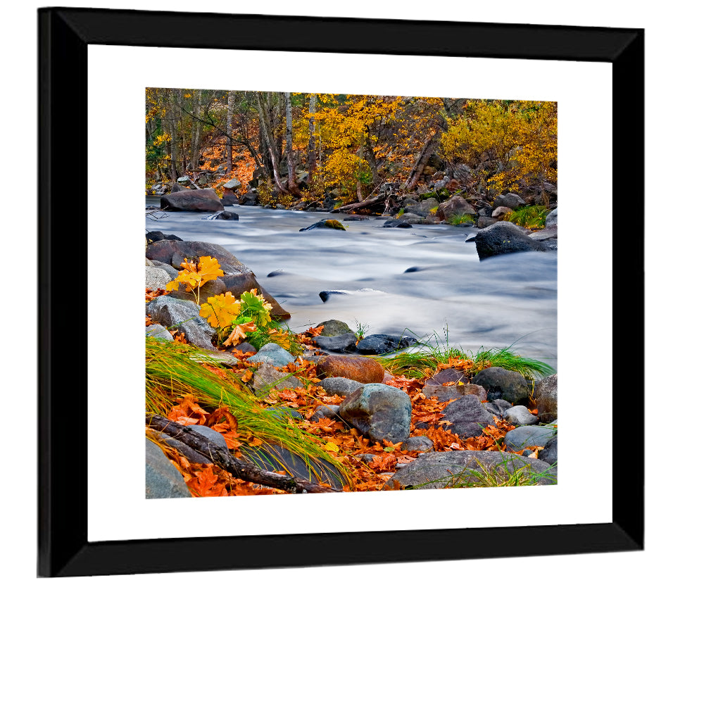 Golden Autumn Forest Creek Wall Art