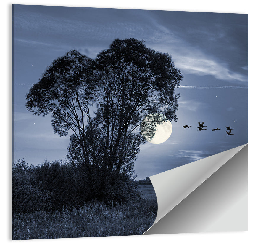 Moonlit Birds Over Quiet Field Wall Art