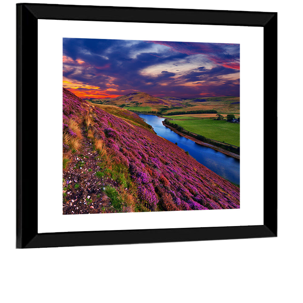 Pentland Hills Heather, Edinburgh Wall Art