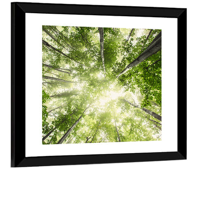 Misty Spring Forest Wall Art