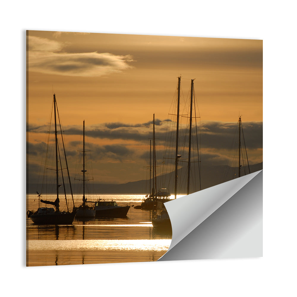 Sailboats at Sunrise Wall Art