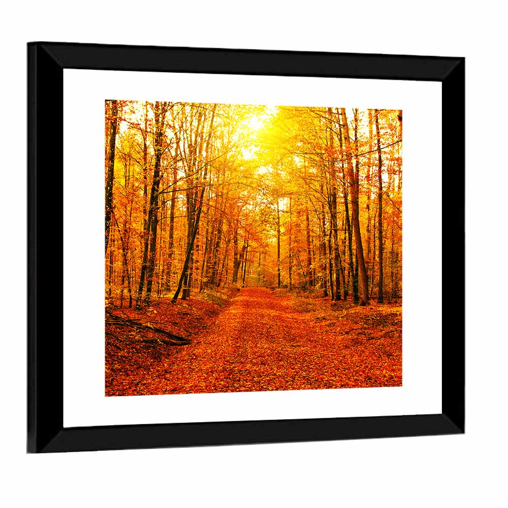 Golden Autumn Forest Path Wall Art