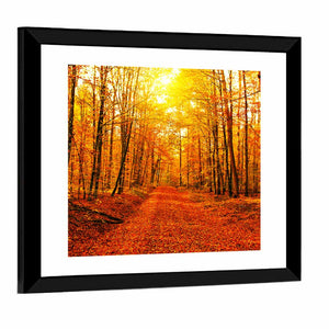 Autumn Forest Wall Art