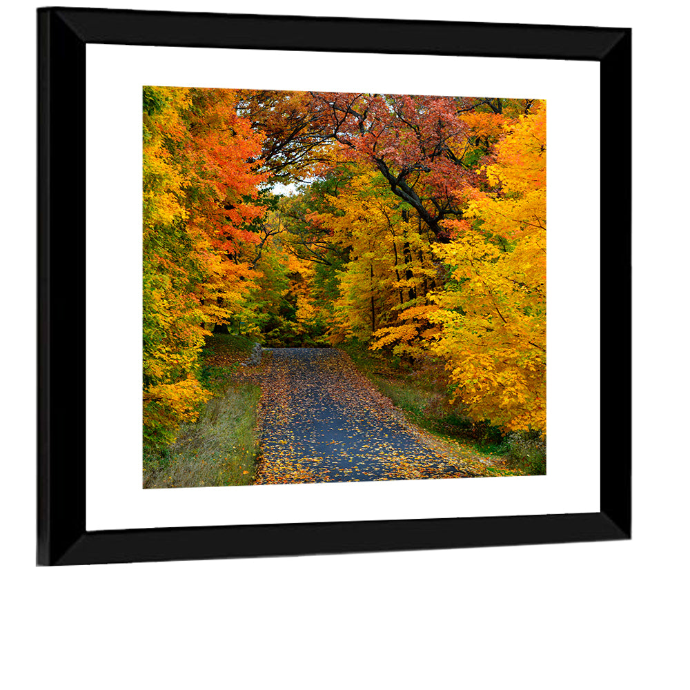 Autumn Road Through Wisconsin Park Wall Art