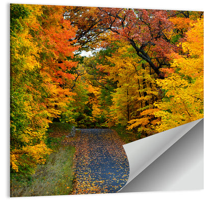 Autumn Road Through Wisconsin Park Wall Art