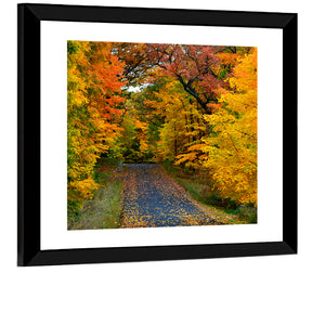 Wisconsin Autumn Park Wall Art